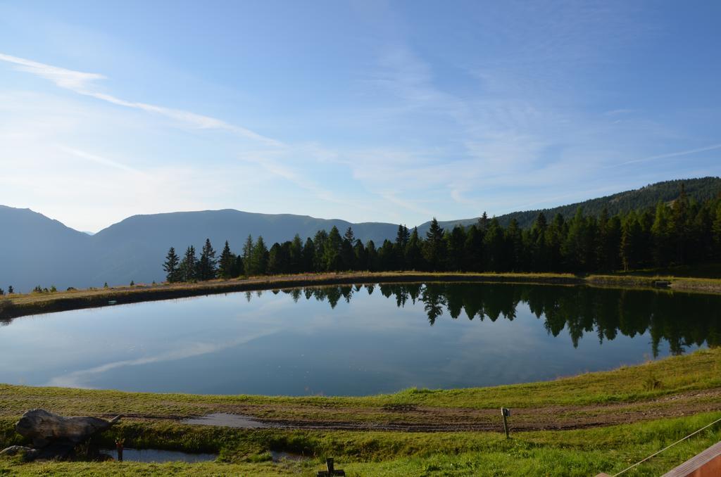 Gasthaus Rieglerhuette St. Lorenzen ob Murau Pokój zdjęcie