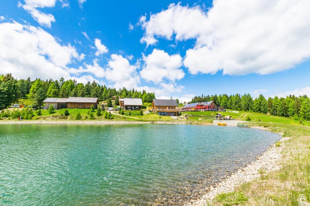 Gasthaus Rieglerhuette St. Lorenzen ob Murau Zewnętrze zdjęcie